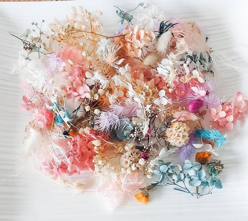 Bulk Dried Flower Heads Mixed Preserved Flowers Natural Etsy Australia