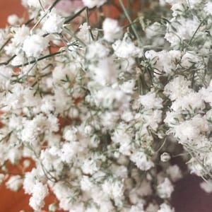 White Dried Babys Breath Flowers Bridal Bouquet Gypsophila Bunch Home Wedding Decor Natural Everlasting Gyp Bridesmaid Posy Arrangement Gift
