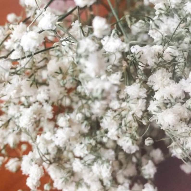 White Dried Babys Breath Flowers Bridal Bouquet Gypsophila Bunch Home Wedding Decor Natural Everlasting Gyp Bridesmaid Posy Arrangement Gift