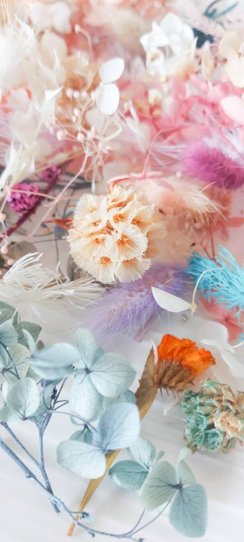 Bulk Dried Flower Heads Mixed Preserved Flowers Natural Etsy Australia