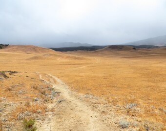 Trail through the Cow Pasture