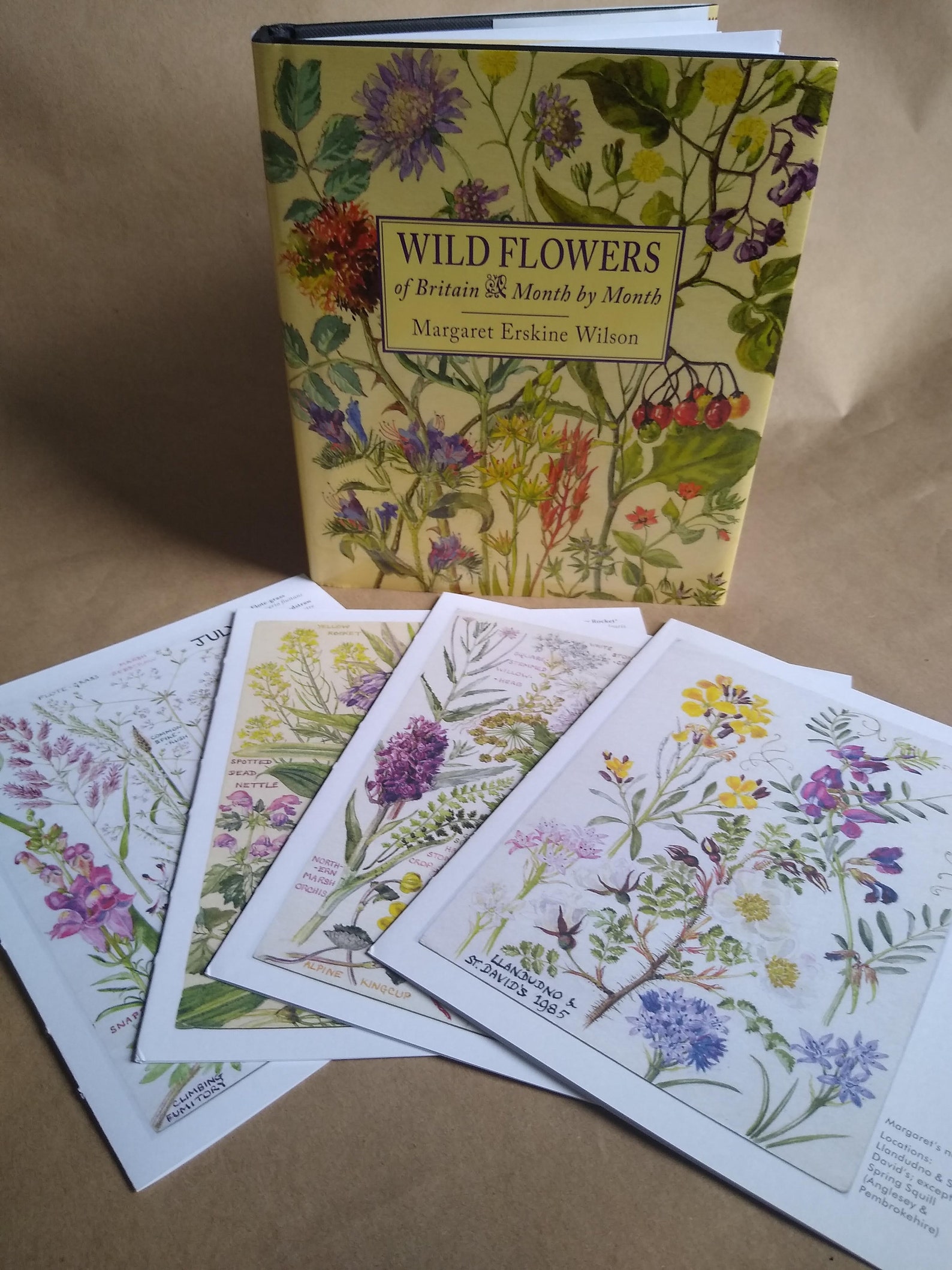 Wild Flowers of Britain Month by Month Illustrated Botanical Etsy