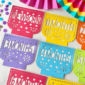 Papel Picado First Year Monthly Photo Banner | First Fiesta Decorations | First Birthday Banner | Cinco de mayo