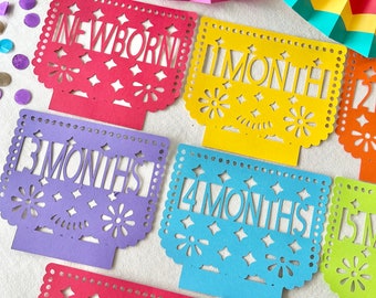 Papel Picado First Year Monthly Photo Banner | First Fiesta Decorations | First Birthday Banner | Cinco de mayo
