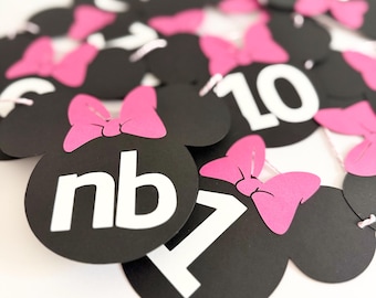 Minnie mouse photo banner, first birthday monthly photo party decorations, girl birthday, milestone banner, rm25