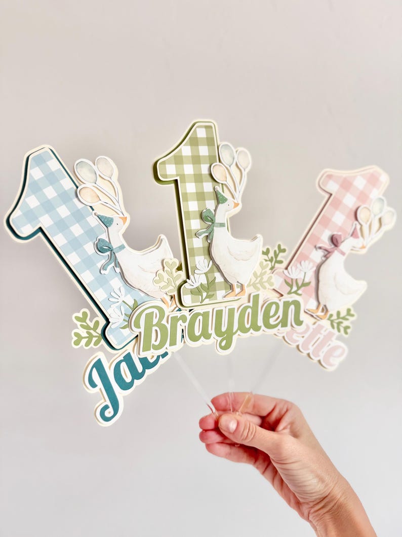 Pu&ograve; includere: Decorazione per torta con tre numeri "1" in motivi a quadretti blu, verdi e rosa. Ogni "1" presenta un'illustrazione di oca, palloncini e vegetazione. Sono inclusi anche i nomi "Jayden", "Brayden" ed "Elie".