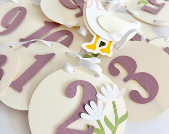 One silly goose photo banner, first birthday milestone photos, baby party decorations, first year photo banner, baby shower decor
