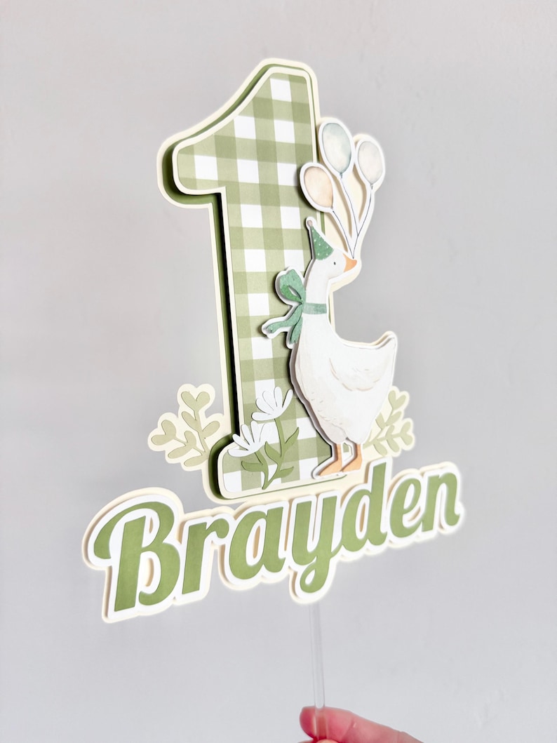 Pu&ograve; includere: Topper per torta a strati per un primo compleanno. Il numero "1" &egrave; in un motivo a quadretti verdi e bianchi, con un'oca dei cartoni animati con un cappello da festa e palloncini. Il nome "Brayden" &egrave; scritto in verde.