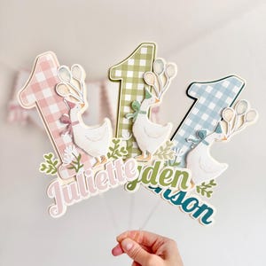 Pu&ograve; includere: Tre decorazioni per torta con il numero uno, con motivi a quadretti rosa, verdi e blu. Ogni decorazione presenta un'oca bianca con un cappello da festa e palloncini. I nomi "Juliette", "Ryden" e "Carson" sono scritti sotto.