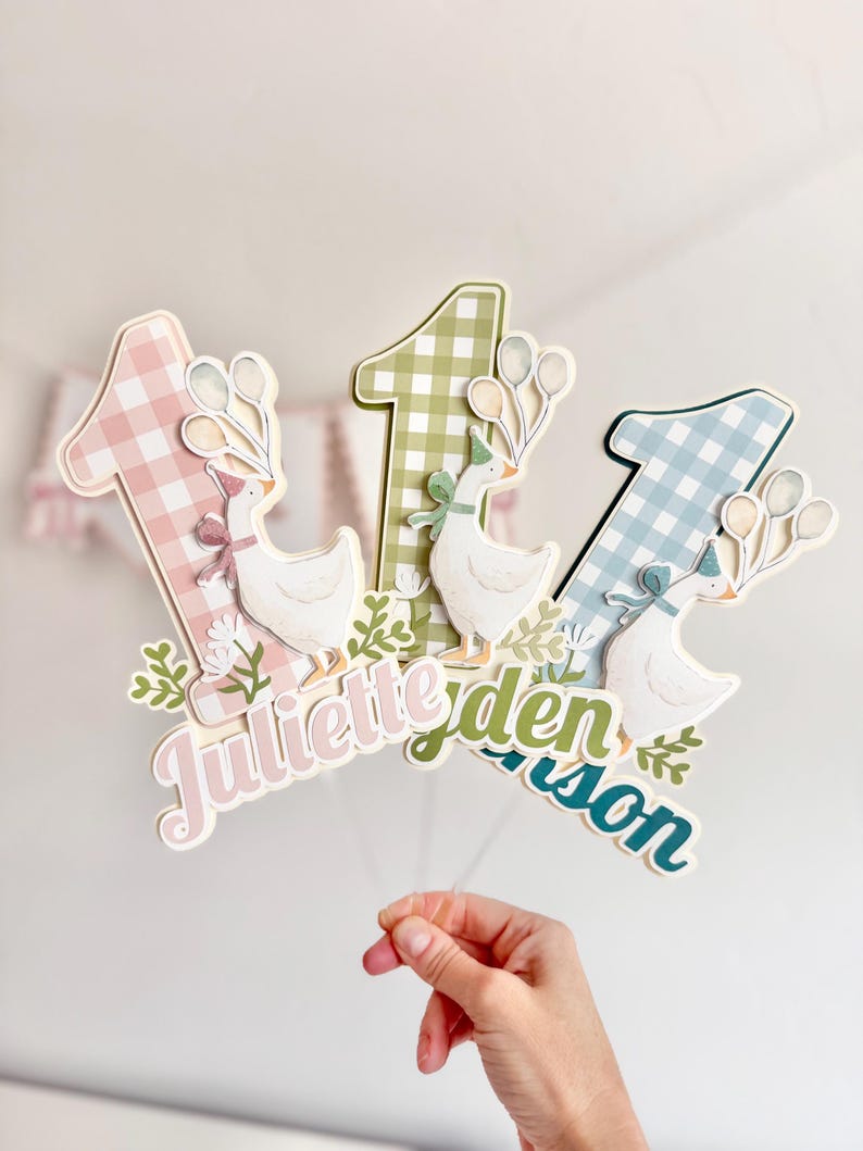 Pu&ograve; includere: Tre decorazioni per torta con il numero uno, con motivi a quadretti rosa, verdi e blu. Ogni decorazione presenta un'oca bianca con un cappello da festa e palloncini. I nomi "Juliette", "Ryden" e "Carson" sono scritti sotto.