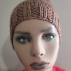 May include: A brown knitted beanie with a cable knit pattern. The beanie is on a mannequin with a red shirt.