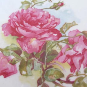 Vintage 9&quot; White Porcelain Handled Cake Plate w/ Deep Pink Roses, Scalloped Edge &  22K Gold Trim - Perfect for Display, Use or Gift-Giving!