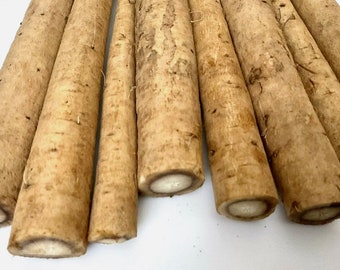 Organic Burdock Root Tincture | Alcohol-Based Herbal Extract | 1oz | Handcrafted with Love & Intention