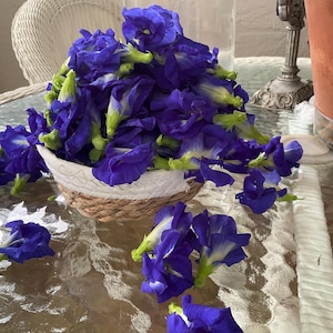 Dried Butterfly Pea Flower (Clitoria ternatae) 1/2 oz