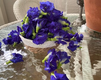 Dried Butterfly Pea Flower (Clitoria ternatae) 1/2 oz