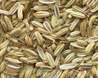 Organic Anise & Fennel Tincture | Alcohol-Based Herbal Extract | 1oz | Handcrafted for Digestion and Comfort