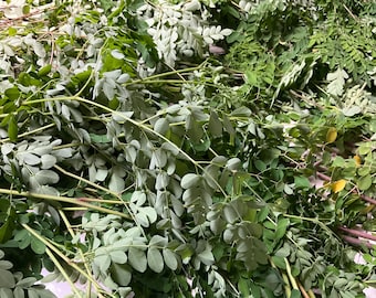 100% Organic Moringa Leaves • Premium Moringa Oleifera Loose Leaf  - 1 oz