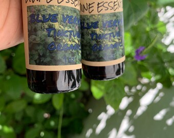 Wildcrafted Blue Vervain Tincture | Alcohol-Based Herbal Extract | 1oz | Handcrafted for Clarity and Calm