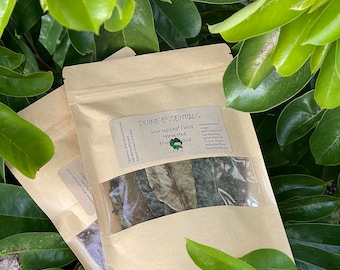 Organic Soursop Leaves – 30g Pack (Approx. 50 Leaves) – Wild Harvested Graviola – Loose Herbal Tea