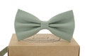 Sage green bow tie.Light green bow tie.Light green necktie, Sage green necktie .Noeud papillon vert sauge.Noeud papillon vert clair.Cravate