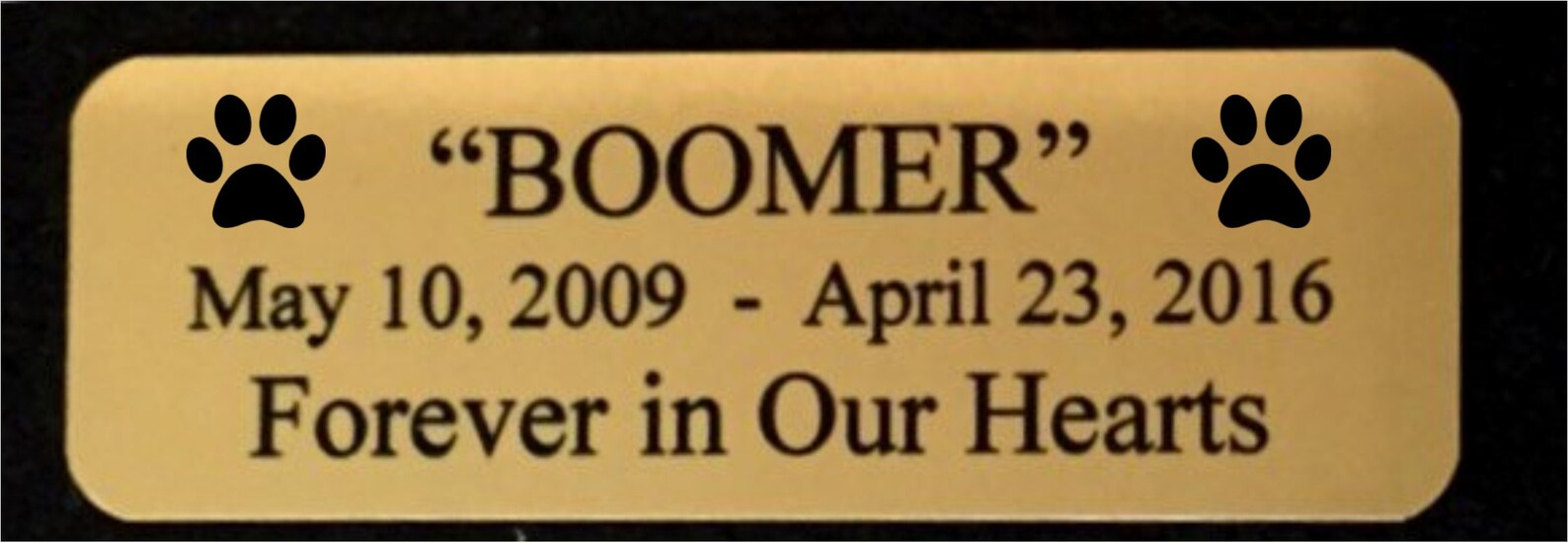Pet Urn Name Tag 1x3 Placa sublimada de oro Etsy