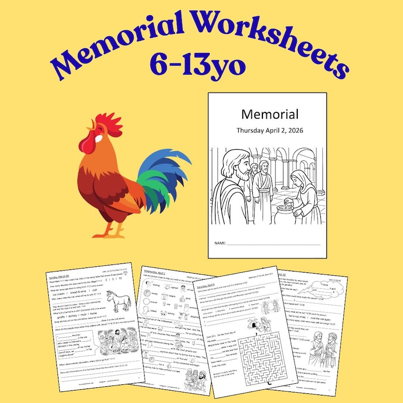 Books for Kids Writing - Etsy