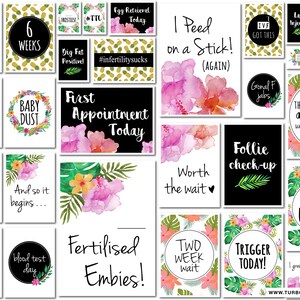 Pode incluir: Uma colagem de cart&otilde;es coloridos com texto sobre tratamentos de fertilidade, incluindo "Embie on Board", "Primeiro encontro hoje", "Embies fertilizados!" e "Disparador hoje!" Os cart&otilde;es apresentam flores e folhas tropicais, abacaxis e outros designs.