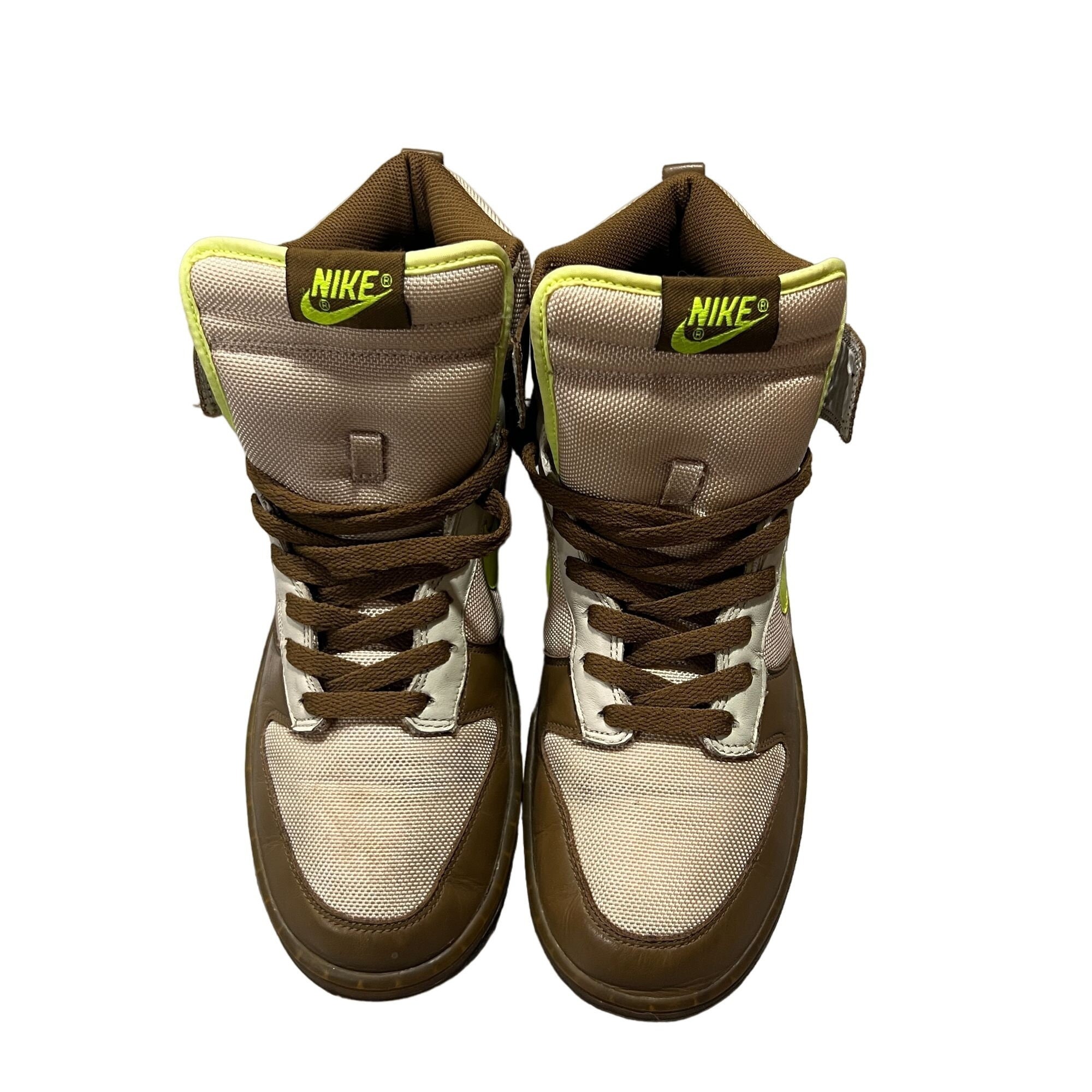 nike dunk shrek