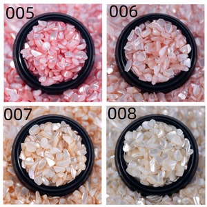Wholesale High Quality Colored Shell Slices 3D Small Irregular Shell Glitter Stone For DIY Nail Art Decoration/Resin Art Filler image 8