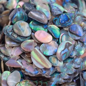 Tranches d'ormeau colorés irréguliers 3D paillettes d'ongles naturel coquillage pierre strass artisanat pour bricolage nail art/décoration de bijoux