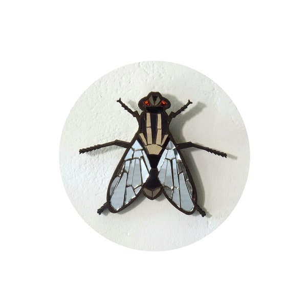 Insecte décoration Mouche  Musca domestica en verre et bois micro mosaïque miroir cabinet de curiosité
