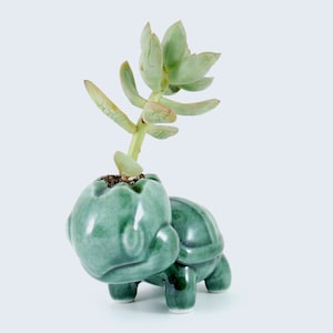 Turtwig ceramic planter