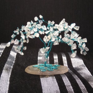 Aquamarine Weeping Bonsai Tree