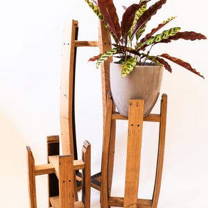 May include: Three wooden plant stands of different heights. The stands are made from light brown wood, with a rustic look. A potted plant with green and burgundy leaves sits on the tallest stand. The stands are set against a white background.