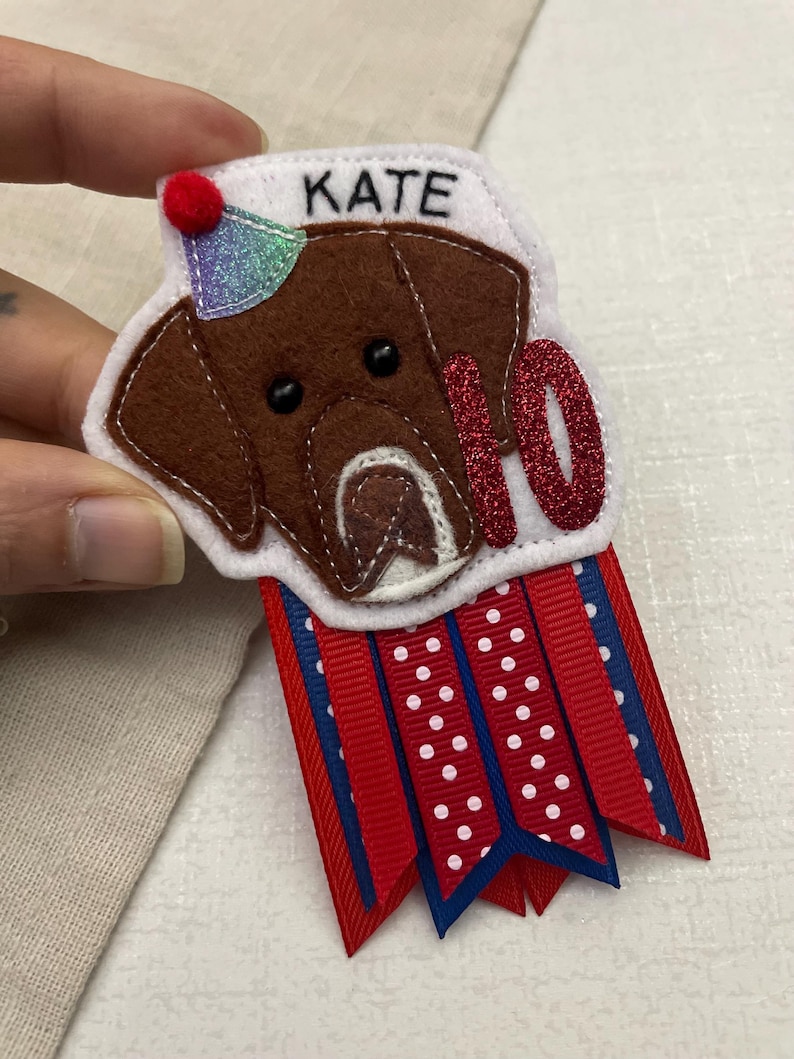 May include: A felt dog-themed birthday badge with the name "KATE" and the number "10". The dog has brown fur and is wearing a party hat. Red, white, and blue ribbons are attached to the bottom.