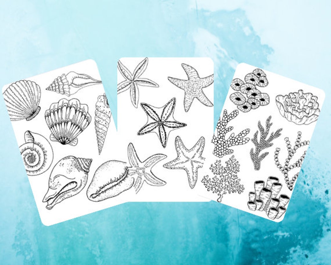Ocean Themed Coloring Pages - Etsy