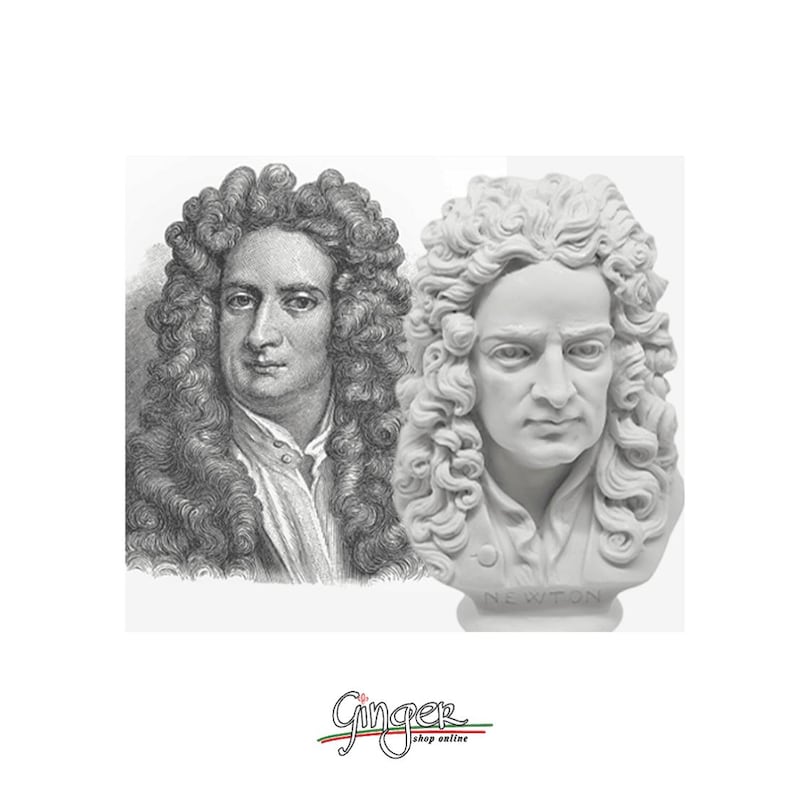 May include: A black and white engraving of Isaac Newton next to a white marble bust of Isaac Newton. The bust is inscribed with "Newton".