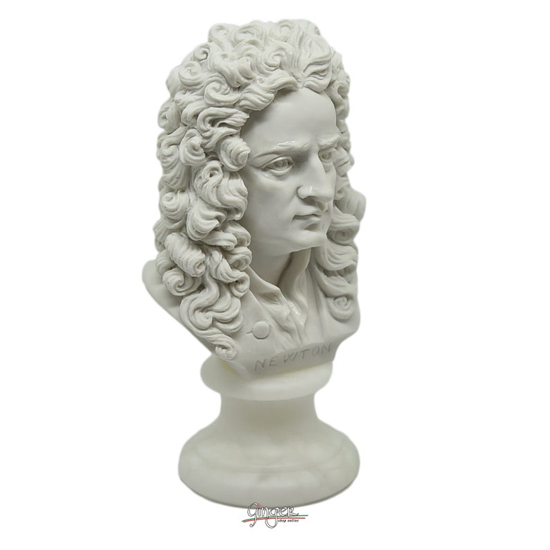 May include: White marble bust sculpture of Isaac Newton with a long, curly wig. The bust is on a white marble base with the inscription "NEWTON" on the front.
