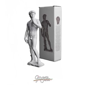 Michelangelo&#39;s David &quot;exclusive&quot; - 15-20-25-30 cm
