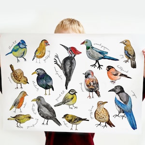 Cartel de pájaros del jardín británico - Descarga de vida silvestre en acuarela