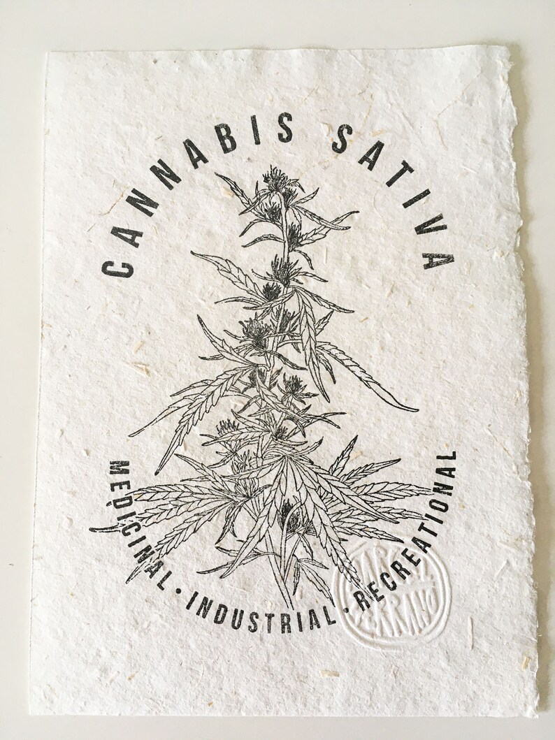 Eco-Friendly Hemp Paper Cannabis Print Handmade with Love and Perfect for Cannabis Lovers 13cm X 18cm image 3