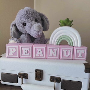 May include: Pink alphabet blocks spelling out the name "PEANUT" with a gray plush elephant and a white ceramic rainbow with a green succulent plant on top.