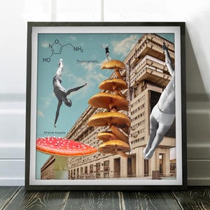 The Safe Amanita - Vintage Retro Collage - Available as Poster and Canvas