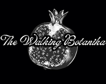 Donación (Apoyo al Fondo de Riqueza Generacional): Enlace a la Conciencia de la Prosperidad