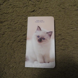 Pode incluir: Uma agenda de bolso branca com uma foto de um gatinho branco com olhos azuis na capa. O texto "2024-2025 Pocket Planner" está impresso na capa.