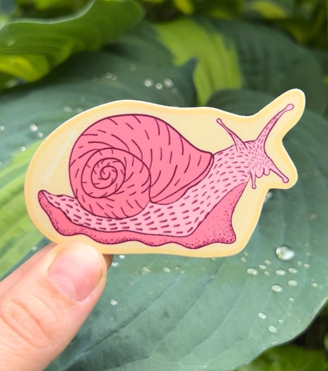 Cute Patterned Snail Yellow Pink Sticker - Etsy