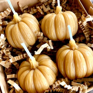 Beeswax Pumpkin Votives: Farm-Rendered in Michigan