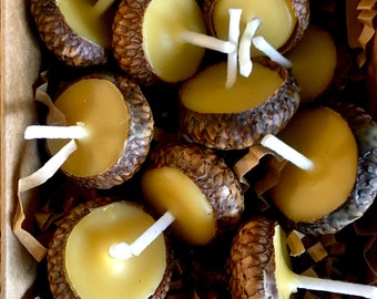 Pure Beeswax Acorn Cap Floating Candles- Sustainably Harvested, Set of Ten