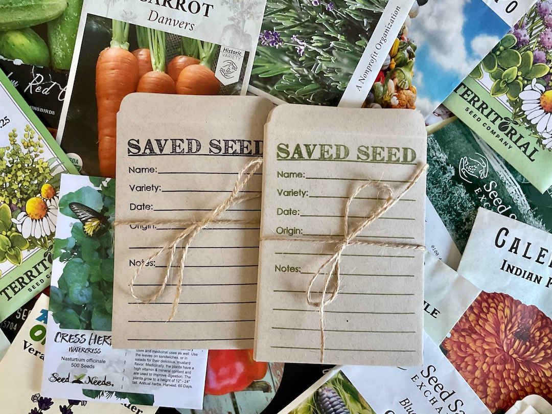 Seedy storage: How to store your vegetable seeds - little eco
