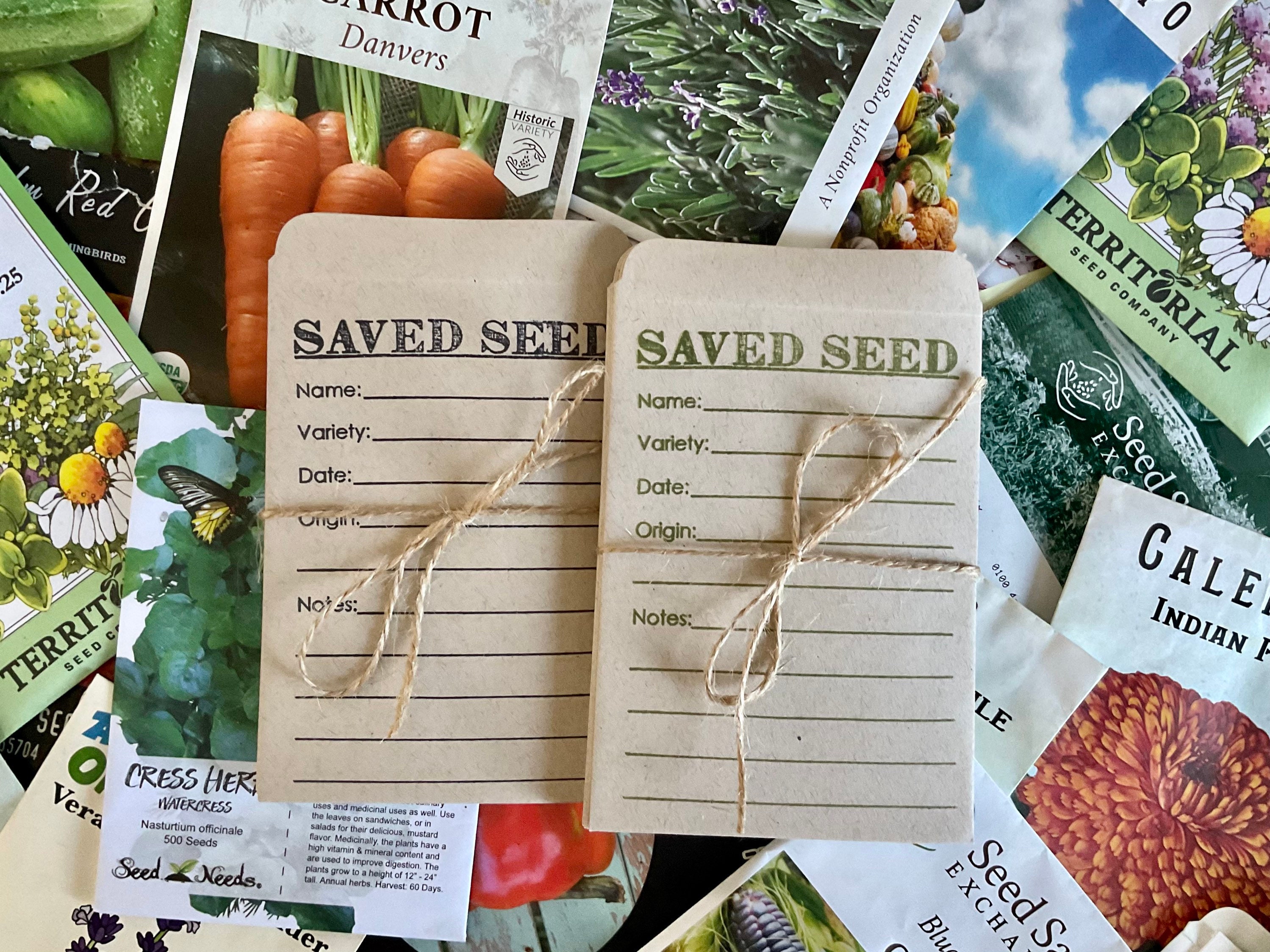 Guardian White Seed Envelopes – Easy Seal Seed Saving Envelopes – 3-1/4” x  4-1/2” Seed Storage Envelopes – Mini Envelopes Self Seal – Seed Packets